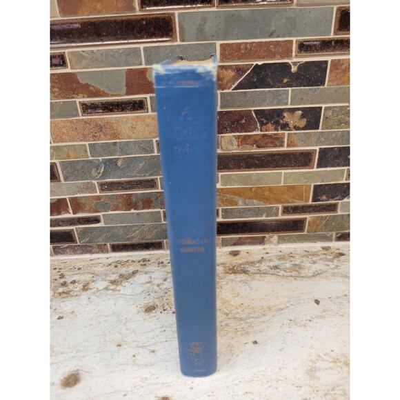 Antique A Wonder Book for Girls and Boys 1913 Windermere Series - Picture 6 of 6